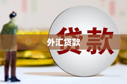 奎文外汇贷款