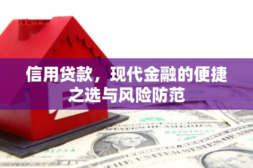 奎文信用贷款，现代金融的便捷之选与风险防范