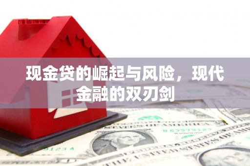 奎文现金贷的崛起与风险，现代金融的双刃剑