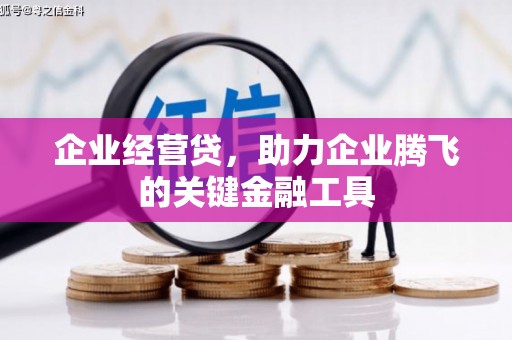 奎文企业经营贷，助力企业腾飞的关键金融工具