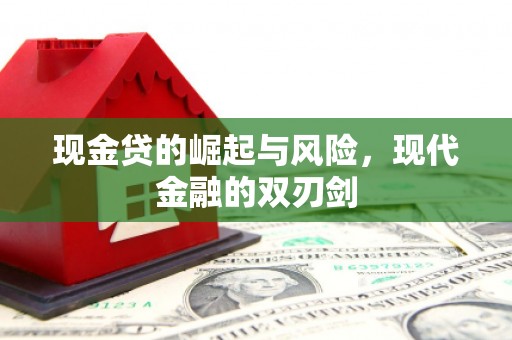 奎文现金贷的崛起与风险，现代金融的双刃剑