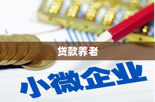 奎文贷款养老