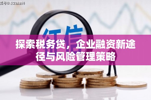 奎文探索税务贷，企业融资新途径与风险管理策略