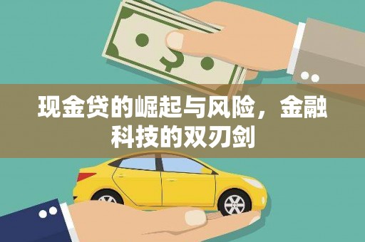 奎文现金贷的崛起与风险，金融科技的双刃剑