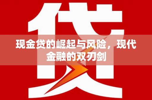 奎文现金贷的崛起与风险，现代金融的双刃剑