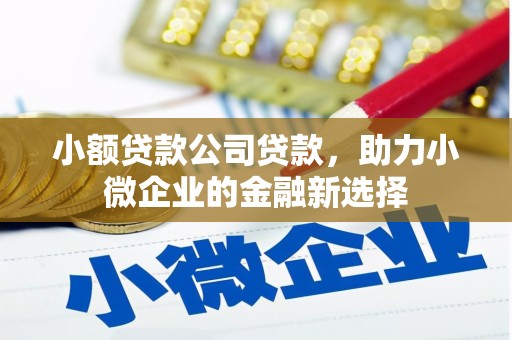 奎文小额贷款公司贷款，助力小微企业的金融新选择