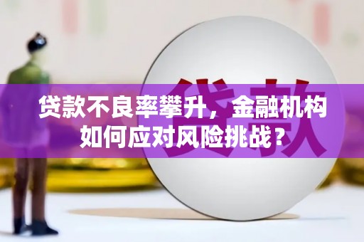 奎文贷款不良率攀升，金融机构如何应对风险挑战？