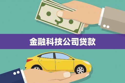 奎文金融科技公司贷款