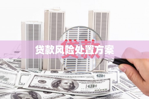 奎文贷款风险处置方案