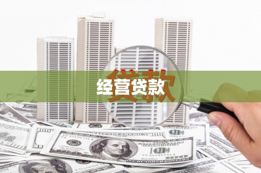 奎文经营贷款