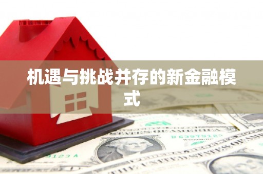 奎文机遇与挑战并存的新金融模式