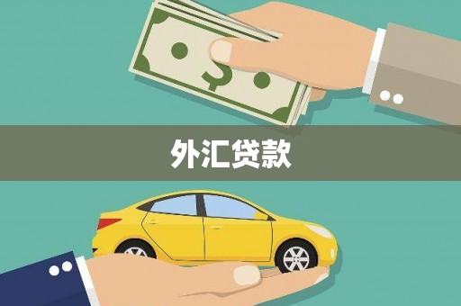 奎文外汇贷款