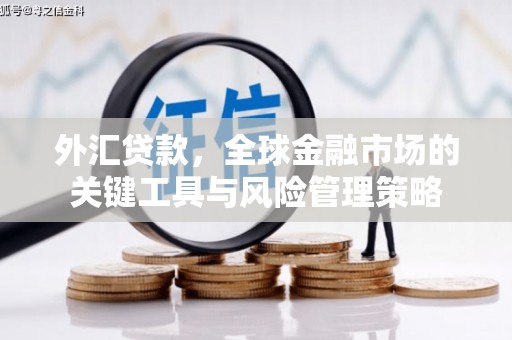奎文外汇贷款，全球金融市场的关键工具与风险管理策略