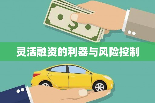 奎文灵活融资的利器与风险控制