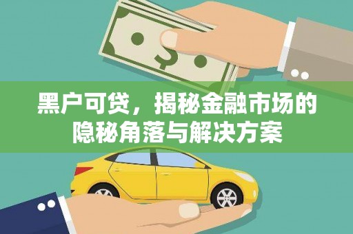 奎文黑户可贷，揭秘金融市场的隐秘角落与解决方案