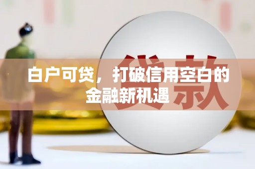 奎文白户可贷，打破信用空白的金融新机遇