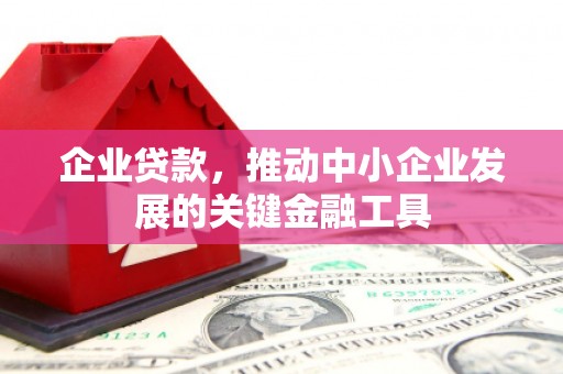 奎文企业贷款，推动中小企业发展的关键金融工具