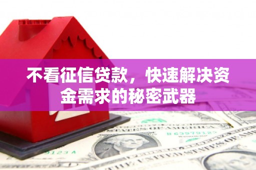 奎文不看征信贷款，快速解决资金需求的秘密武器