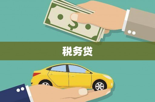 奎文税务贷