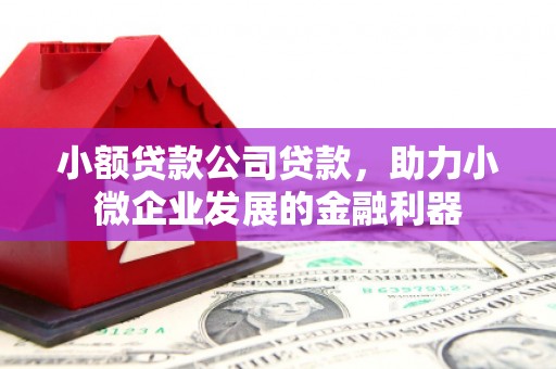 奎文小额贷款公司贷款，助力小微企业发展的金融利器