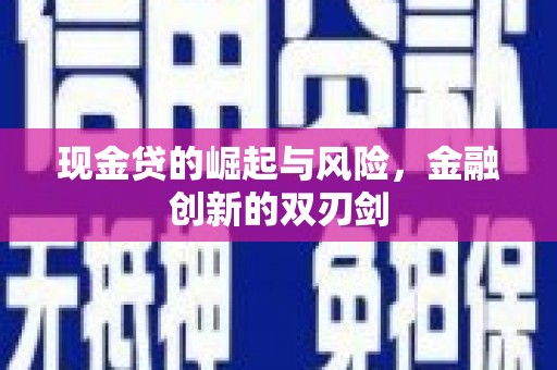 奎文现金贷的崛起与风险，金融创新的双刃剑