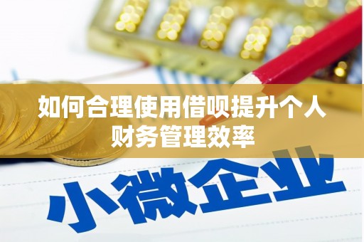 奎文如何合理使用借呗提升个人财务管理效率