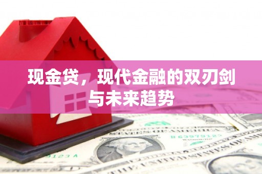 奎文现金贷，现代金融的双刃剑与未来趋势