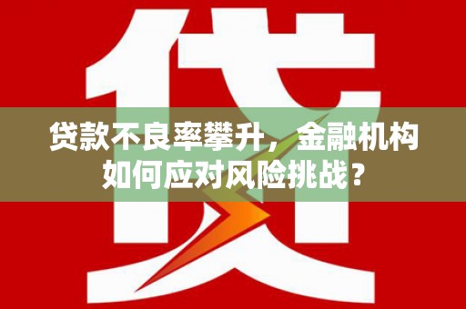 奎文贷款不良率攀升，金融机构如何应对风险挑战？