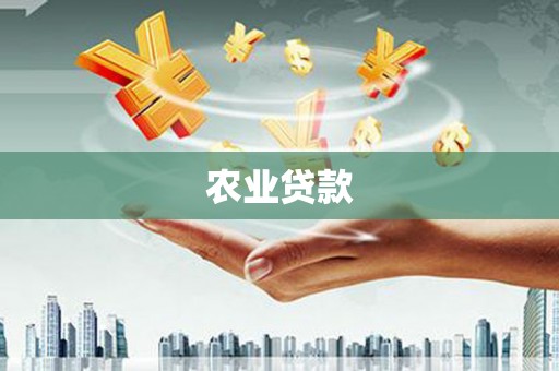 奎文农业贷款