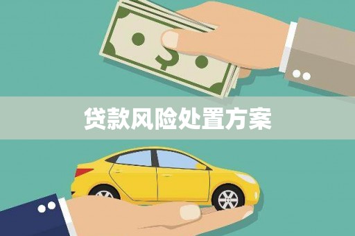 奎文贷款风险处置方案