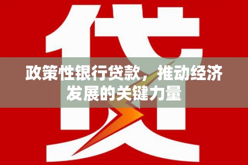 奎文政策性银行贷款，推动经济发展的关键力量