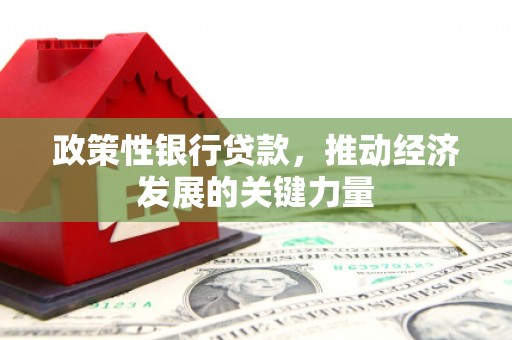 奎文政策性银行贷款，推动经济发展的关键力量