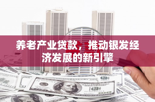 奎文养老产业贷款，推动银发经济发展的新引擎