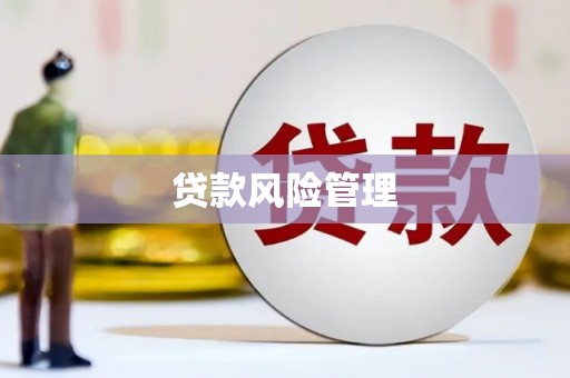 奎文贷款风险管理