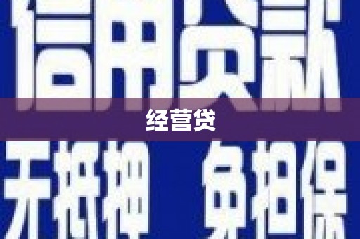 奎文经营贷