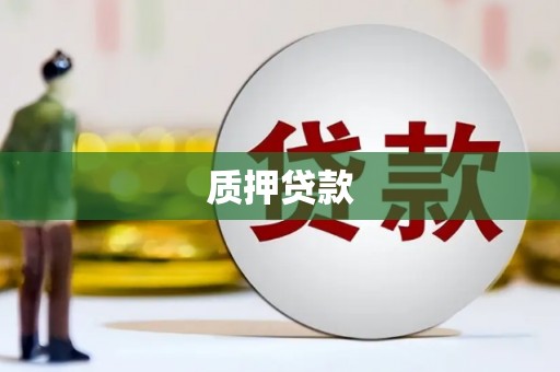 奎文质押贷款