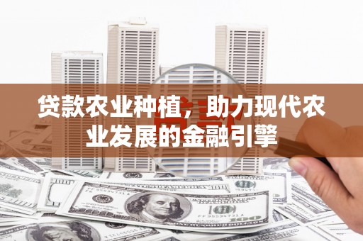 奎文贷款农业种植，助力现代农业发展的金融引擎