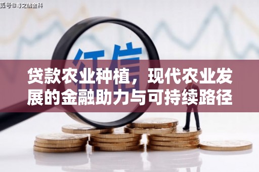 奎文贷款农业种植，现代农业发展的金融助力与可持续路径
