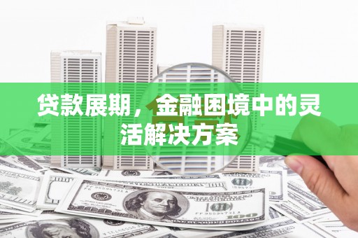 奎文贷款展期，金融困境中的灵活解决方案