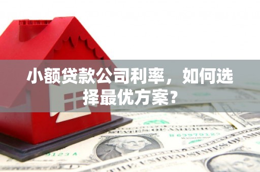 奎文小额贷款公司利率，如何选择最优方案？