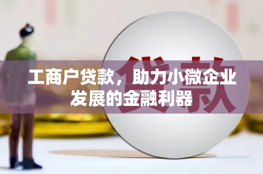 奎文工商户贷款，助力小微企业发展的金融利器