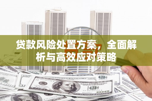奎文贷款风险处置方案，全面解析与高效应对策略