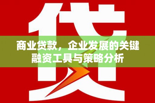 奎文商业贷款，企业发展的关键融资工具与策略分析