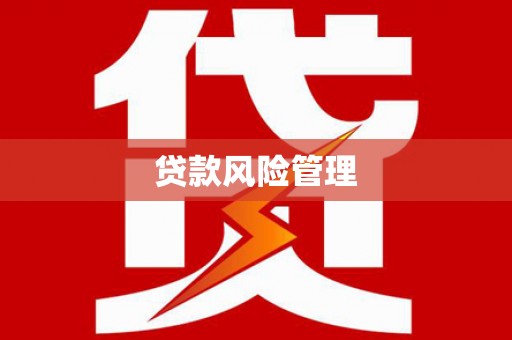 奎文贷款风险管理