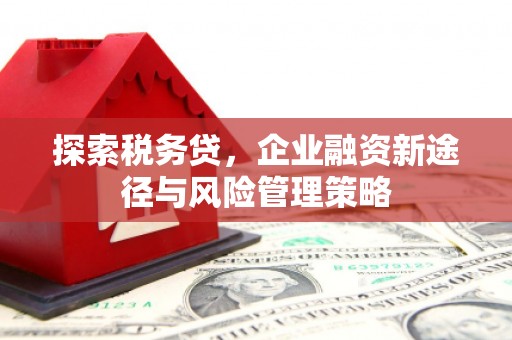 奎文探索税务贷，企业融资新途径与风险管理策略
