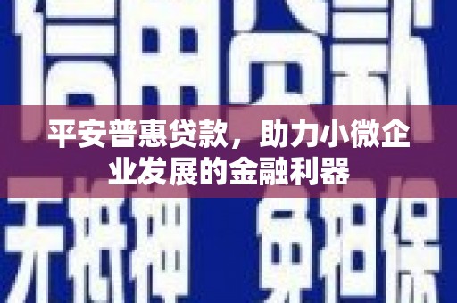 奎文平安普惠贷款，助力小微企业发展的金融利器
