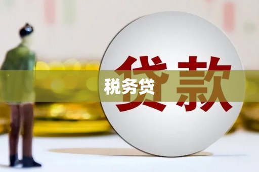 奎文税务贷