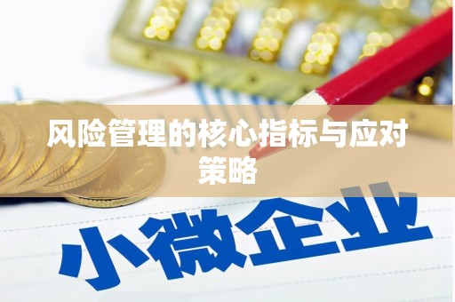 奎文风险管理的核心指标与应对策略