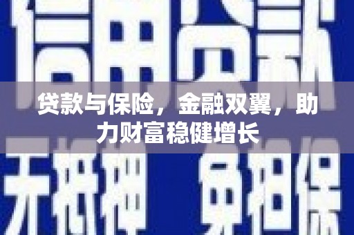 奎文贷款与保险，金融双翼，助力财富稳健增长