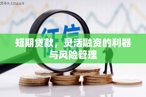 奎文短期贷款，灵活融资的利器与风险管理